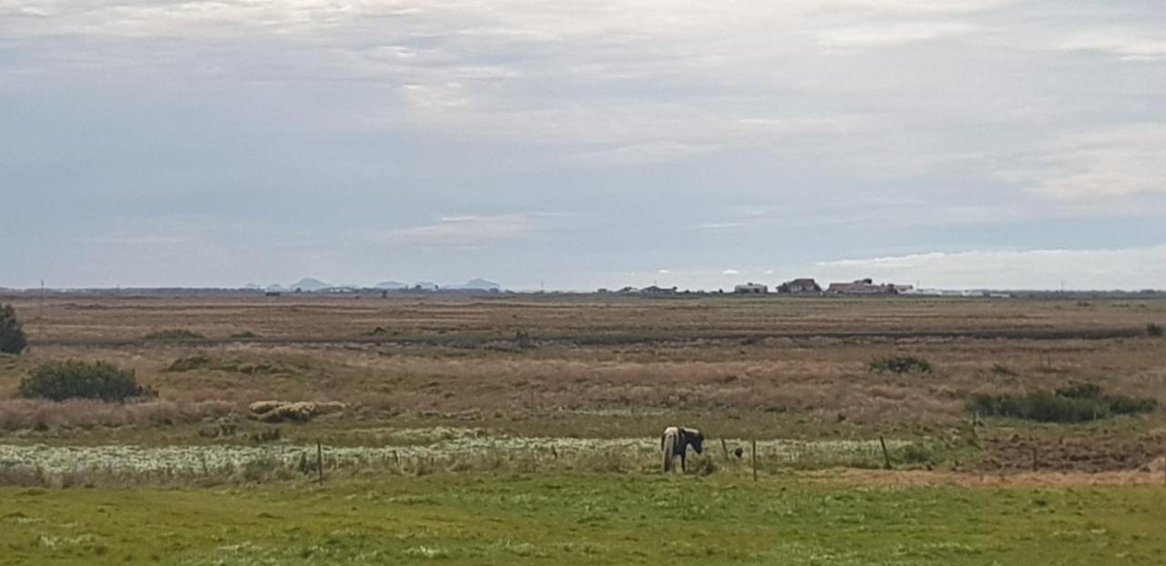 Efri-Gegnisholar Hotell Selfoss Exteriör bild