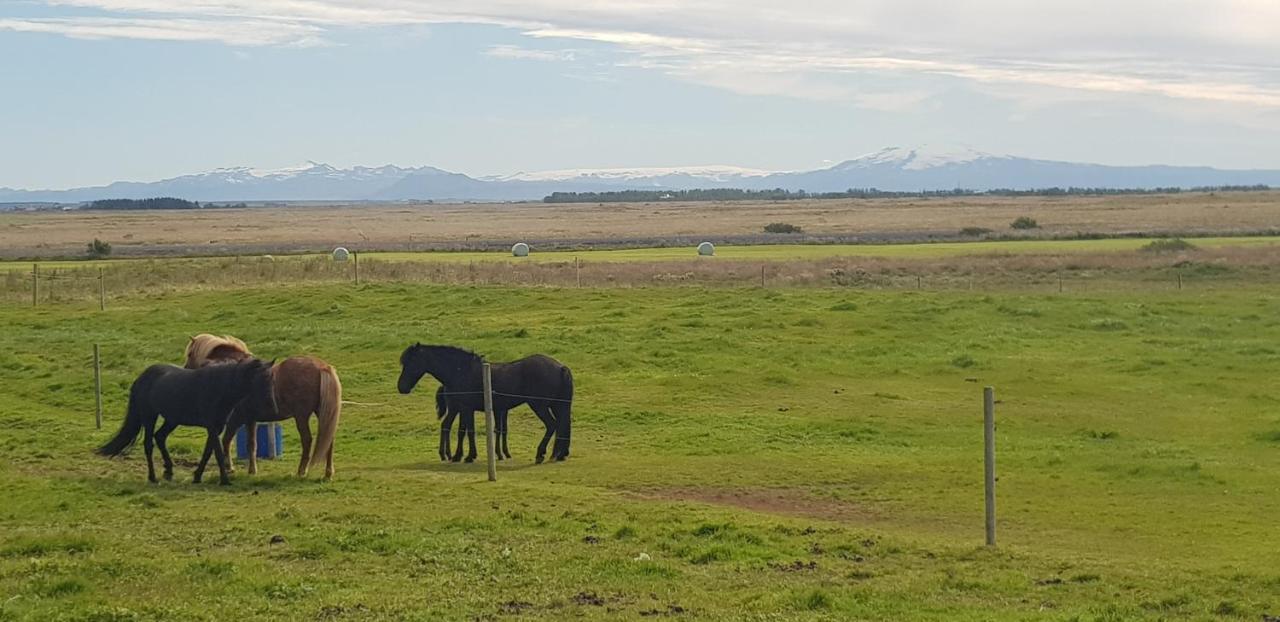 Efri-Gegnisholar Hotell Selfoss Exteriör bild