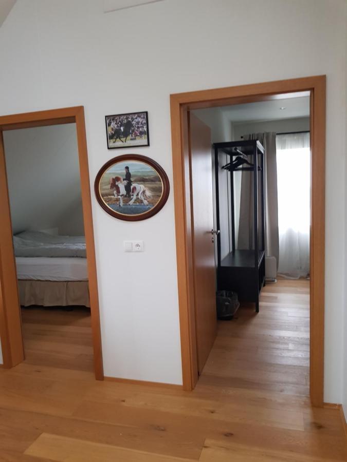 Efri-Gegnisholar Hotell Selfoss Exteriör bild